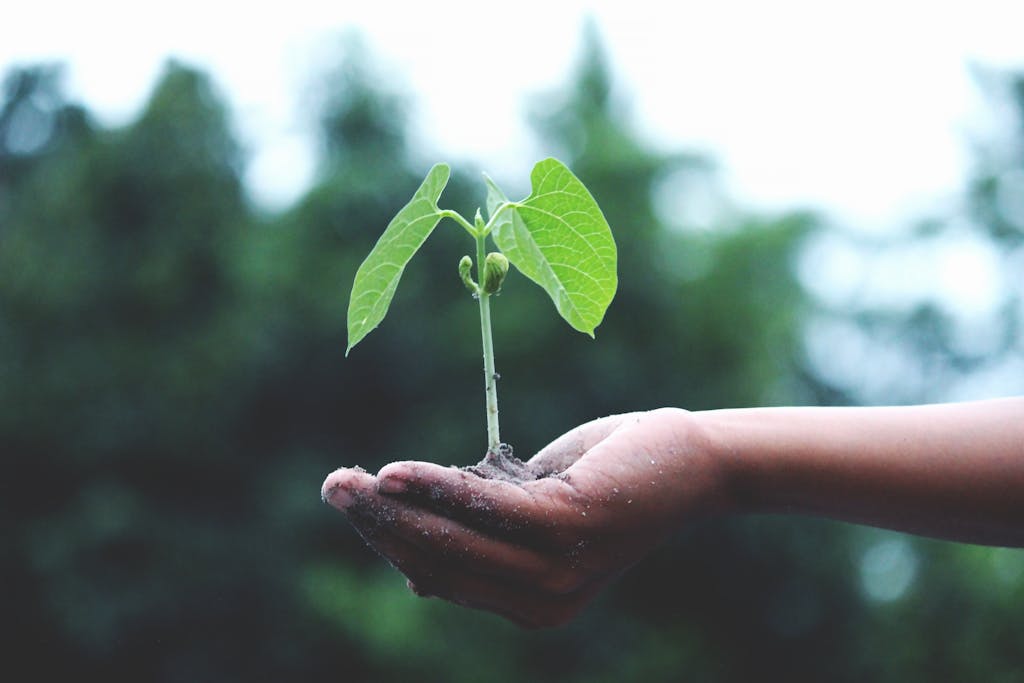 Powerful Ways to Tap Into Your Intuition